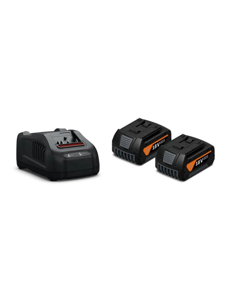 Trapano Avvitatore FEIN ABS 18 Q AS (2 x 5,0 Ah + GAL1880CV + L-Boxx 136)