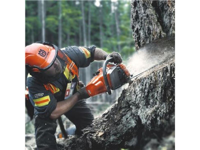 Motosega a scoppio Husqvarna 555 professionale 60cc barra 45cm 3,1kW peso 5,9kg