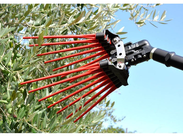 Abbacchiatore Lisam V8 EVO con astine intercambiabili