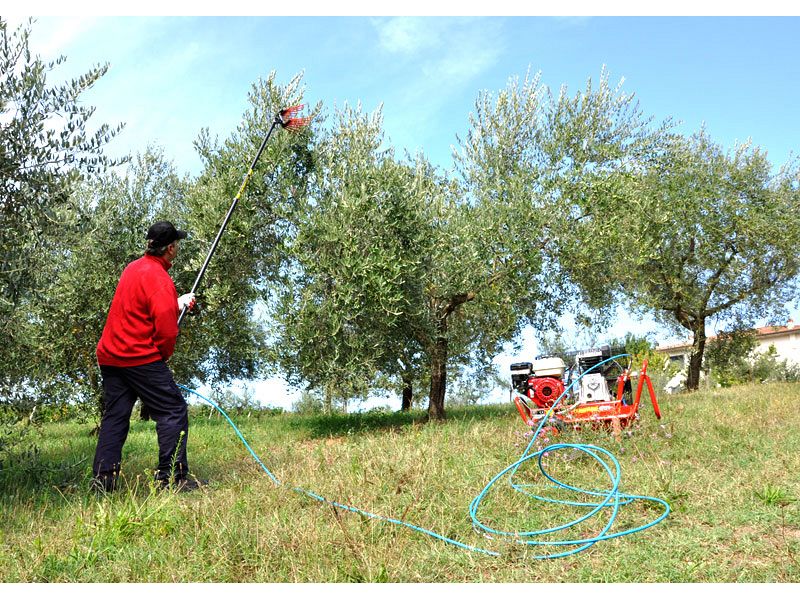 Abbacchiatore Lisam V8 EVO con astine intercambiabili