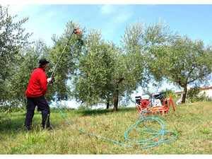 Abbacchiatore Lisam V8 EVO con astine intercambiabili