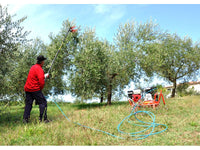 Abbacchiatore Lisam V8 EVO con astine intercambiabili