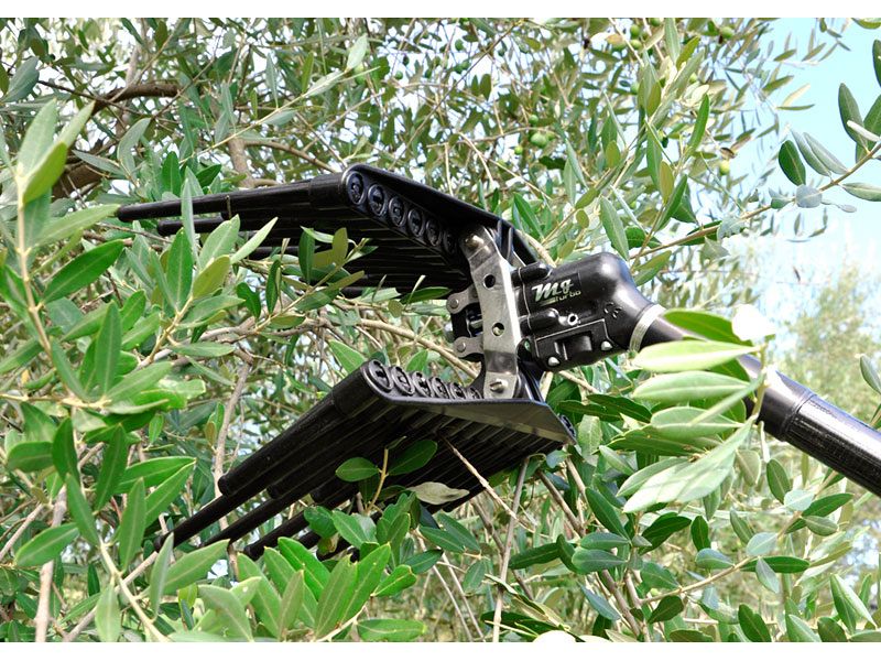 Abbacchiatore pneumatico per olive Lisam MG Turbo con astine arrotondate