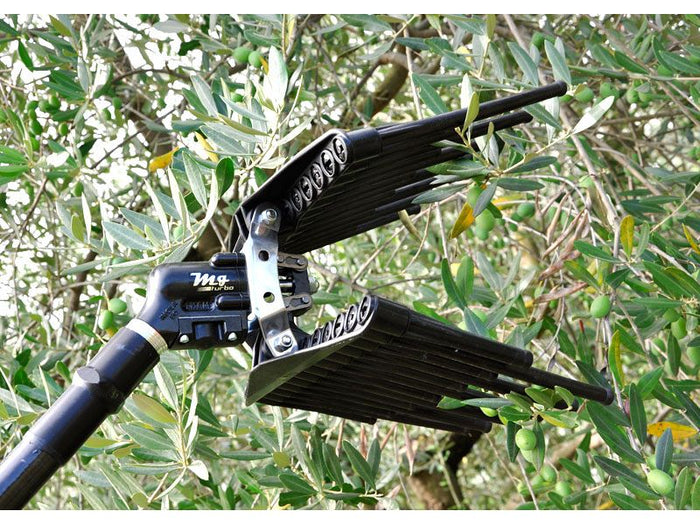 Abbacchiatore pneumatico per olive Lisam MG Turbo con astine arrotondate