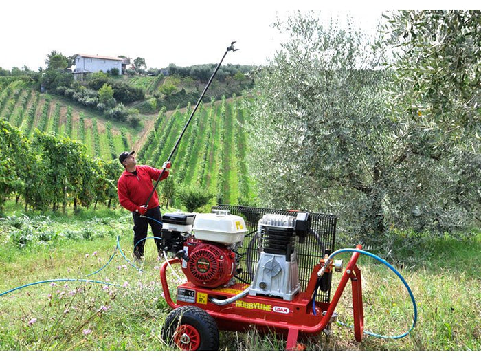 Abbacchiatore pneumatico per olive Lisam MG Turbo con astine arrotondate