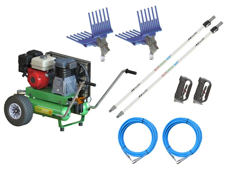 Kit olive per 2 operatori Minelli con motocompressore Honda e 2 abbacchiatori