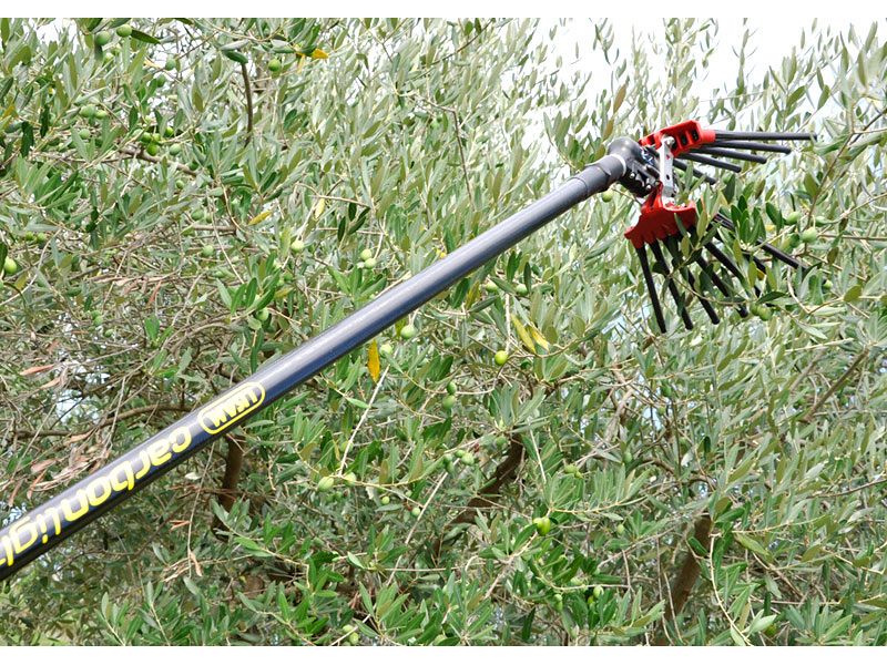 Lisam V8 Turbo, Abbacchiatore Olive Pneumatico per grandi produzioni di raccolta olive