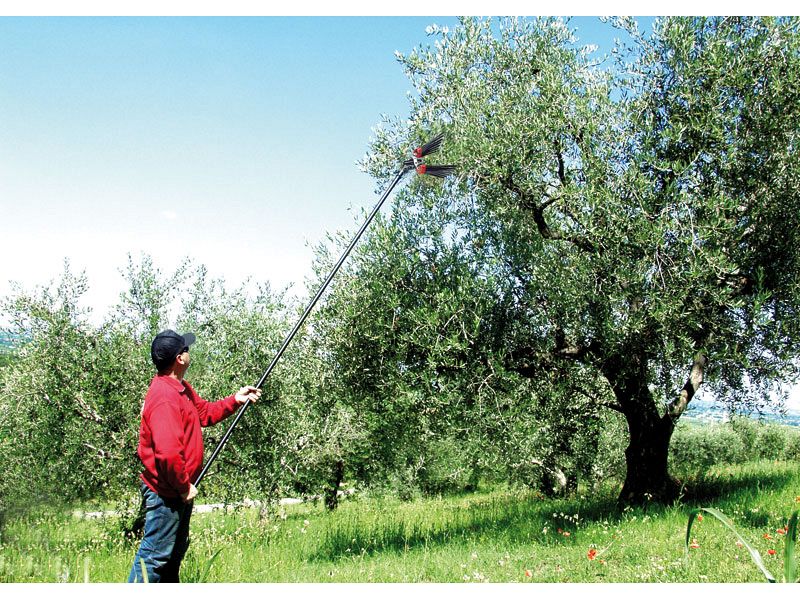 Lisam V8 Turbo, Abbacchiatore Olive Pneumatico per grandi produzioni di raccolta olive