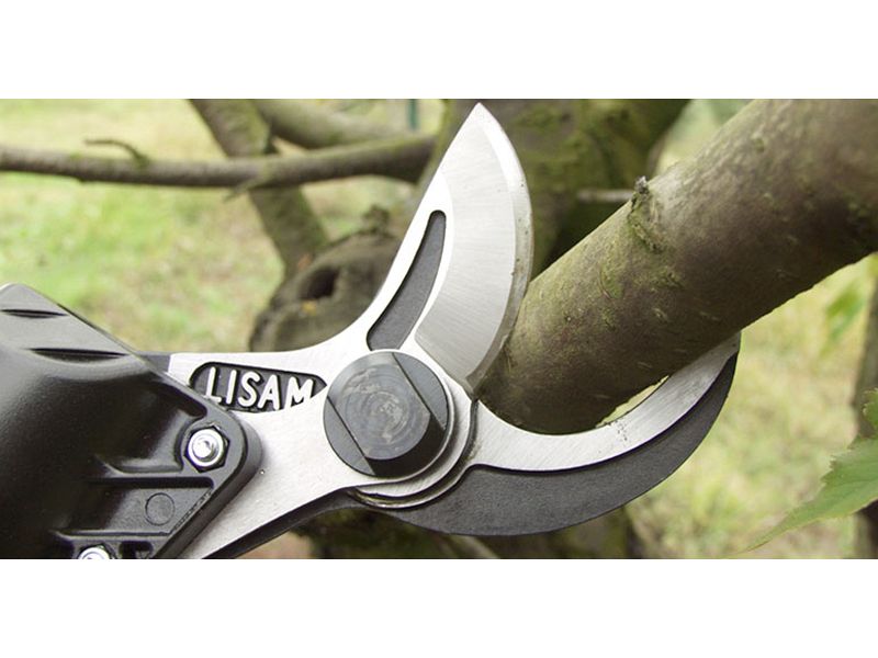 Forbice pneumatica da potatura Lisam SuperSly Rapid con attacco rapido