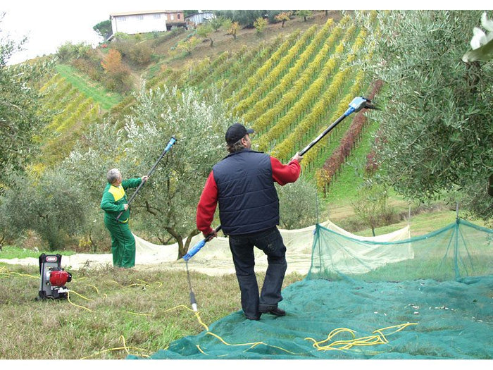 Pettine elettrico professionale Lisam Oliwatt 2 con batteria 12V 60Ah