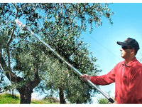 Seghetto pneumatico Lisam Sky per potatura con barra a punta con asta da 2 mt