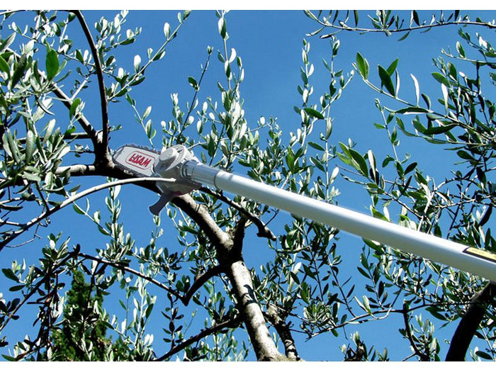 Seghetto pneumatico Lisam Sky per potatura con barra a punta con asta da 2 mt