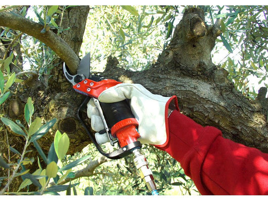 Forbice da potatura pneumatica Lisam Sly per frutteto e oliveto con olio Slip - Solo Forbice