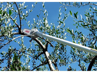 Seghetto pneumatico Lisam Sky per potatura con barra a punta e asta da 1,5 mt