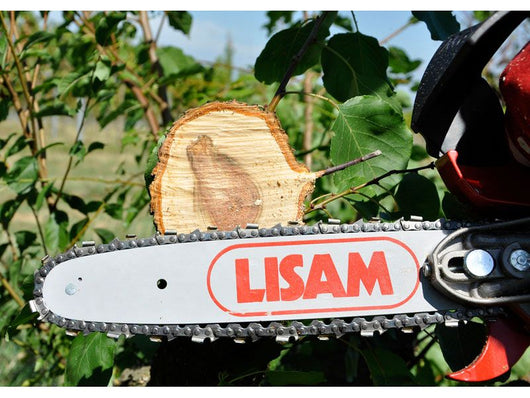 Seghetto pneumatico Lisam Sky-Man per potatura con barra a punta con impugnatura