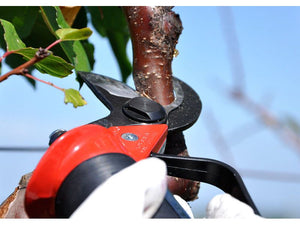 Forbice da potatura pneumatica Lisam Sly per frutteto e oliveto con olio Slip - Forbice + Innesto rapido 1/4