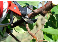 Forbice da potatura pneumatica Lisam Sly per frutteto e oliveto con olio Slip - Forbice + Innesto rapido 1/4