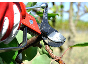 Forbice da potatura pneumatica Lisam Sly per frutteto e oliveto con olio Slip - Forbice + Innesto rapido 1/4