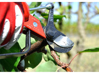 Forbice da potatura pneumatica Lisam Sly per frutteto e oliveto con olio Slip - Solo Forbice