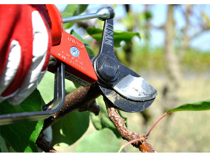 Forbice da potatura pneumatica Lisam Sly per frutteto e oliveto con olio Slip - Solo Forbice