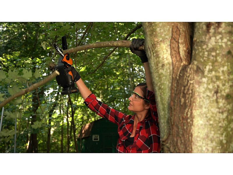 Potatore Elettrico a Batteria Worx WG324E da 20v e 2Ah e 1 batteria e caricabatterie