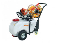 Motopompa da irrorazione carrellata a scoppio Wortex C50-T2 25.6cc 0.75kW 25bar