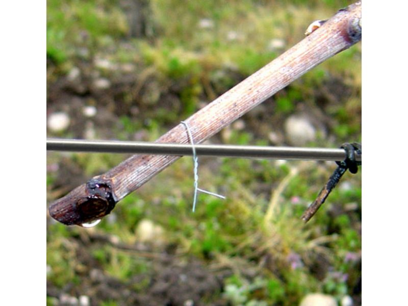 Legatrice manuale Ligatex ArnoPlast ideale per vigneto 1100 legature