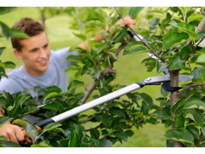 Troncarami Fiskars PowerGear X bypass LX98