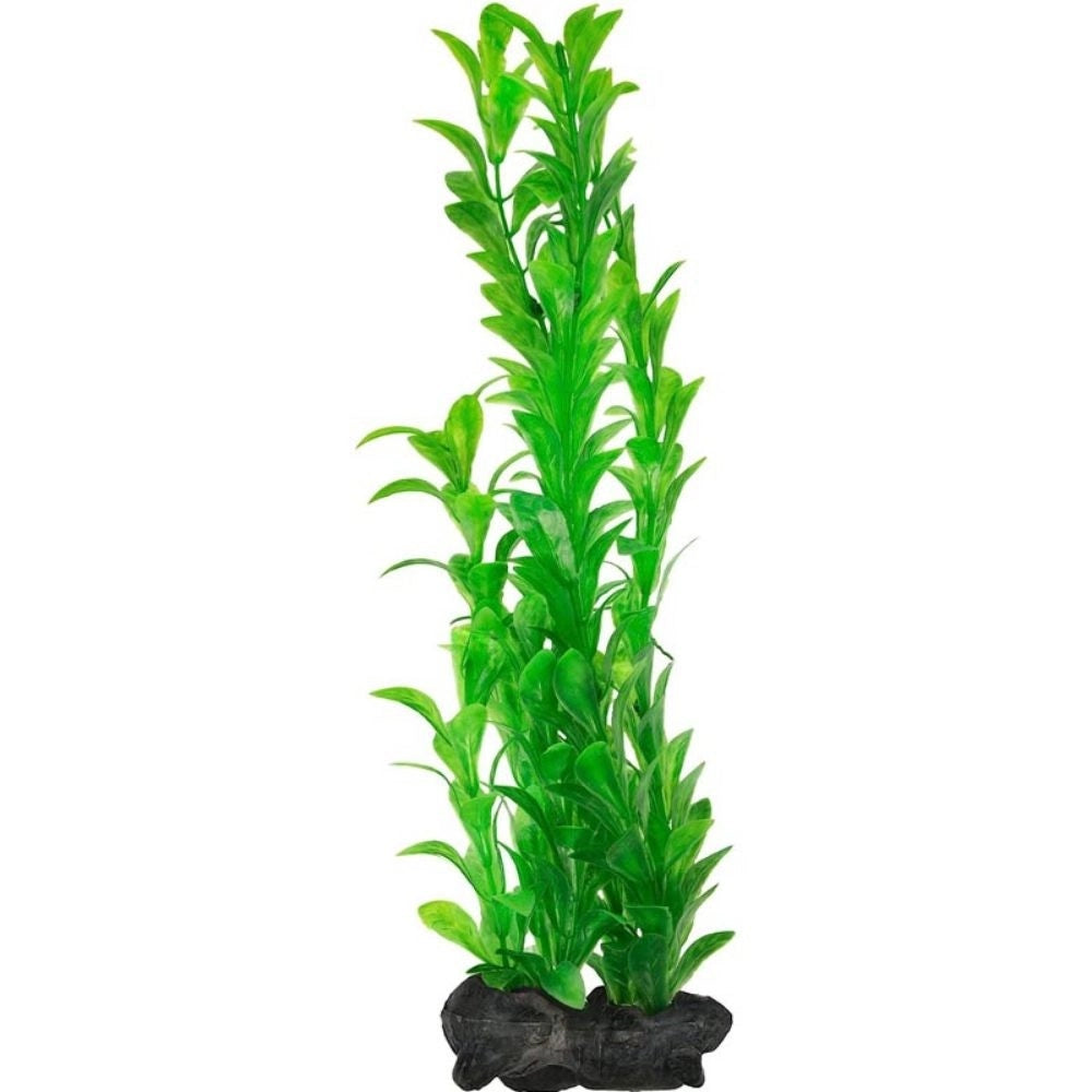 Tetra Pianta Decorativa in Plastica Modello Hygrophila varie misure Modello: L