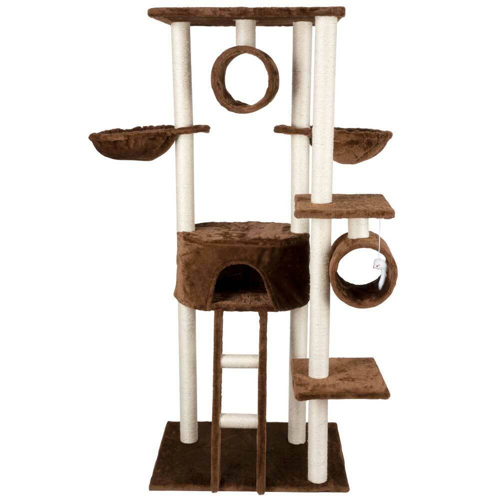 Tiragraffi Gatti Albero Sisal Parco Giochi Gatto Tira Graffi Alto 165cm Marrone