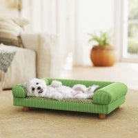 Divano per cane e gatto rialzato, seduta effetto tappeto rinfrescante, con braccioli, in velluto morbido, 63 x 41 x 17 cm, Verde