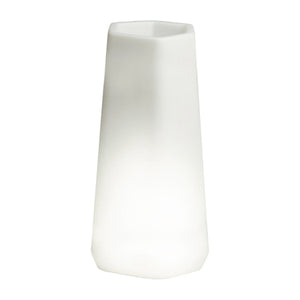 Vaso Luminoso da Giardino a LED 49x40x95 cm in Resina 5W Magnolia Bianco Freddo
