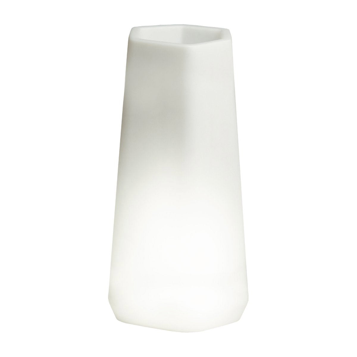 Vaso Luminoso da Giardino a LED 49x40x95 cm in Resina 5W Magnolia Multicolore