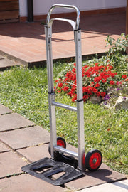 Carrello Ercolino