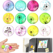 Pacco da 12 magneti per frigorifero per bambini - Decorativi per arredamento, ufficio, lavagne e cassetti