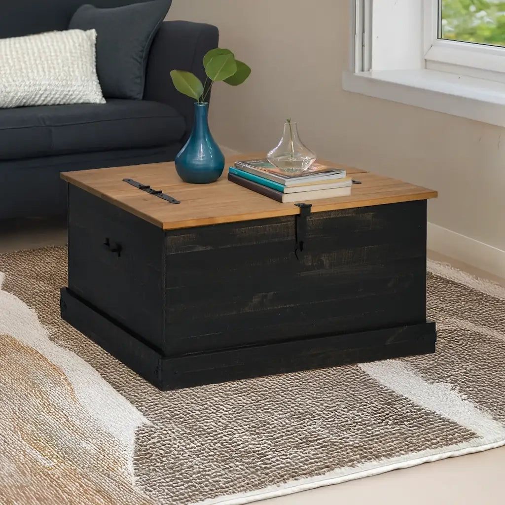 Cassapanca-Baule-Armadietto contenitore HALDEN Nero 91x91x47 cm in Legno Massello di Pino