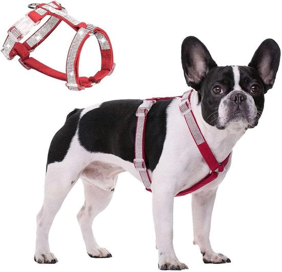 Cinturone per cani in cristallo con pietre bling rhinestone - Adatto per gatti e piccoli/medi cani - Rood, Taglia M - Regolabile con chiusura sicura.