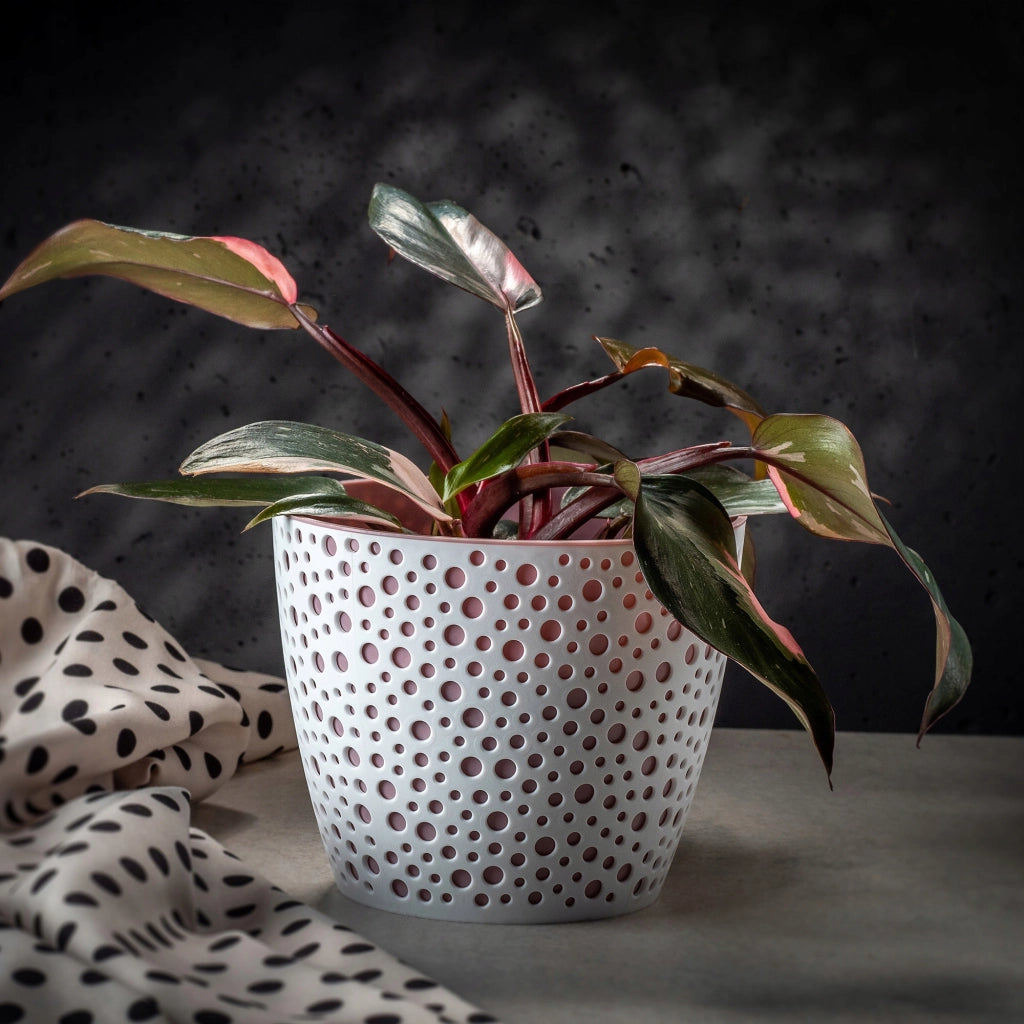 Vaso da fiori KADAX, Vaso da fiori, Vaso da fiori rotondo in plastica, 13 cm, rosa