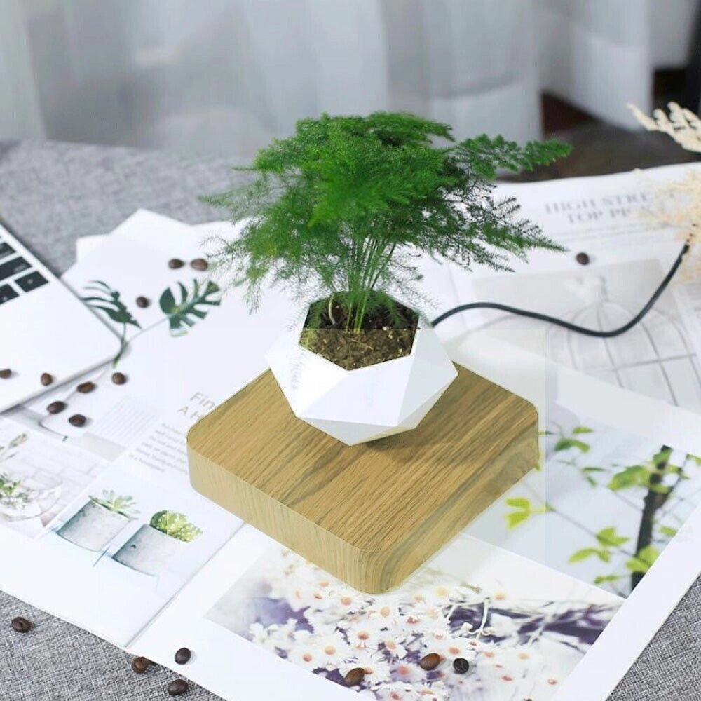 Vaso per piante bonsai a levitazione magnetica che vola piantina sospesa in aria