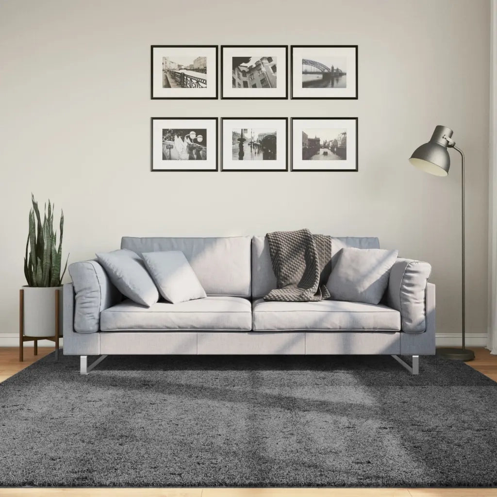 vidaXL Tappeto OVIEDO a Pelo Corto Antracite 200x200 cm