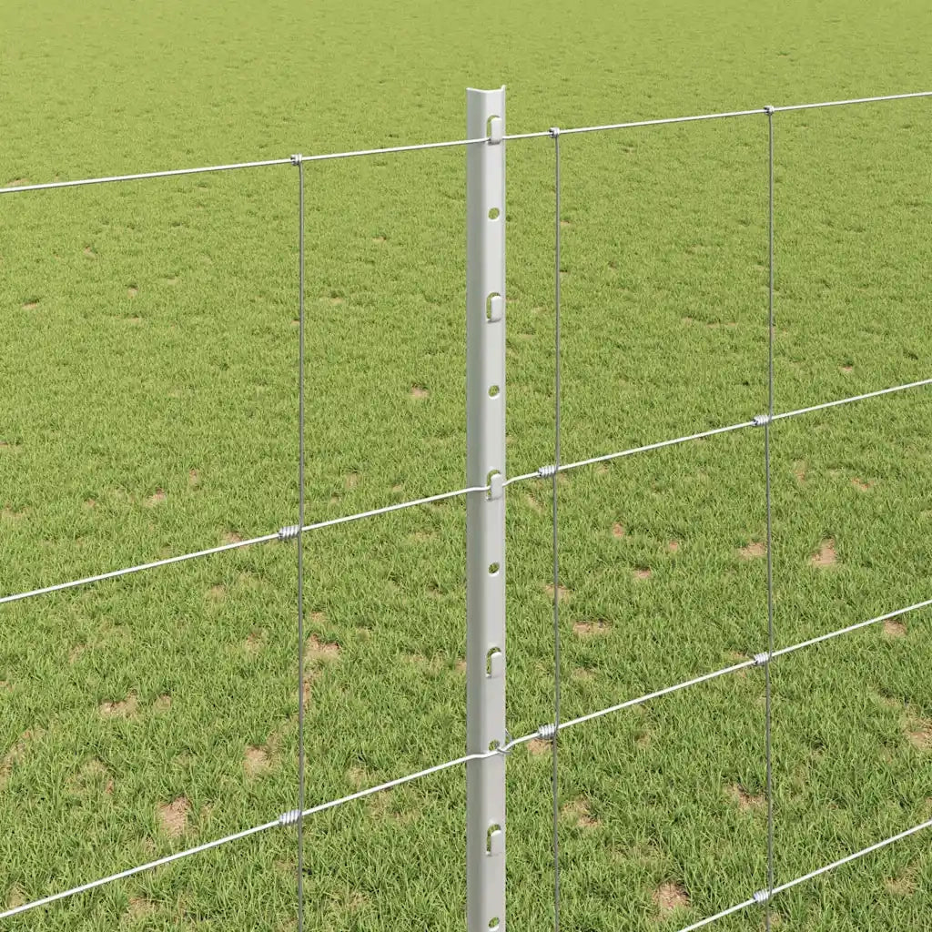 Recinzione da Giardino | Recinzione con Posto Argento