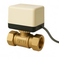 Valvola di zona motorizzata a due vie serie DQ220 220VAC DN20 26.9 mm (3/4")