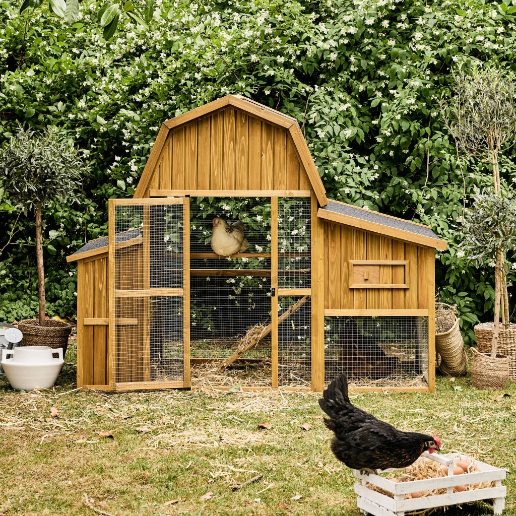 Pollaio 6 galline legno di abete, marrone naturale