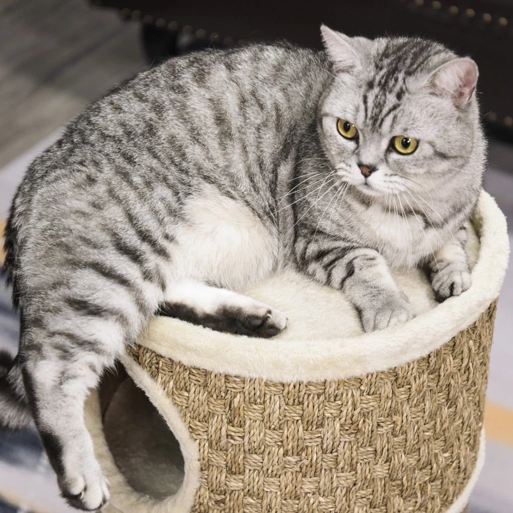Tiragraffi per Gatti con Sisal e Tana ¨C Minimal ¨C Khaki e Caff¨¨ 70x37.5 cm