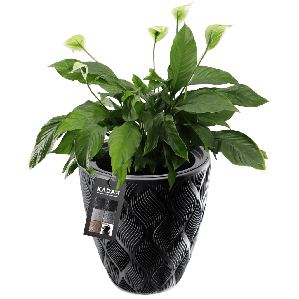 Vaso da fiori KADAX con inserto 32 cm, copertura in plastica alta