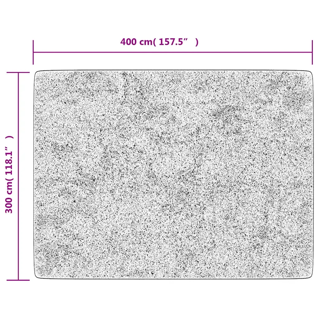 Tappeto del soggiorno | Tappeto Lavabile Grigio 400x300 cm