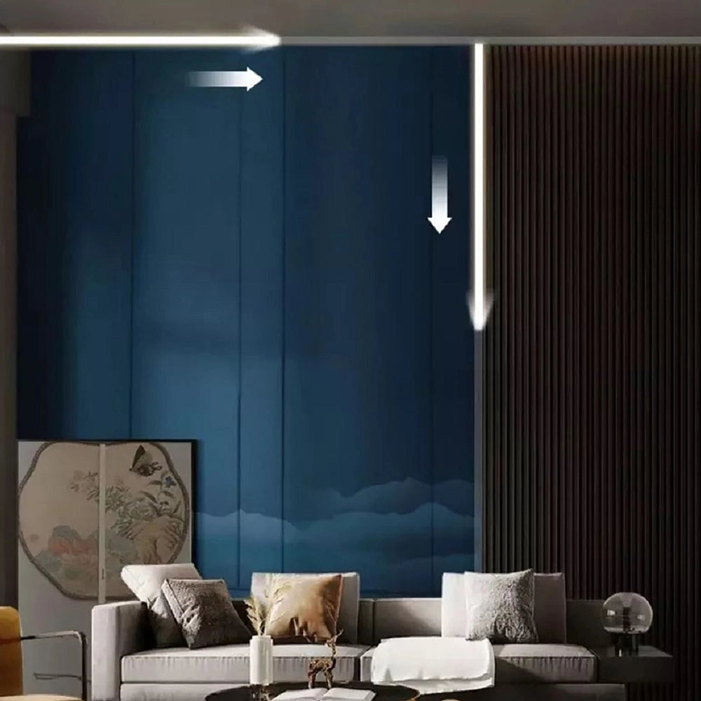 Striscia Led Luminosa light running cammina 24V da 5mt 59 Watt con controller luce bianca fredda 6500k