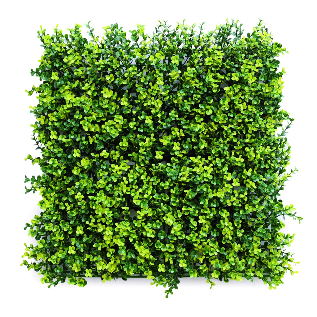 Confine SIEPE ARTIFICIALE DA PARETE MOD. BOSSO cm. 50x50