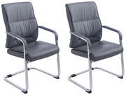 Set di 2 sedie a sbalzo XXL Anubis in similpelle grigio