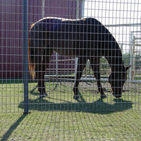 Rete Metallica Elettrosaldata 1,5 x 25 mt Maglia 50x75mm Zincata per Recinsione